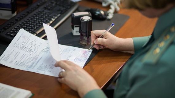 прописка в Михайловске